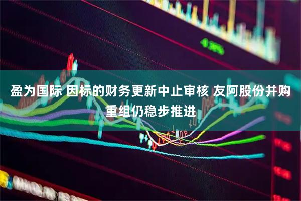 盈为国际 因标的财务更新中止审核 友阿股份并购重组仍稳步推进