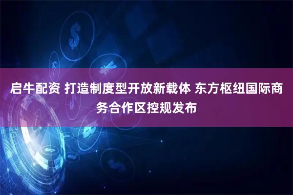 启牛配资 打造制度型开放新载体 东方枢纽国际商务合作区控规发布