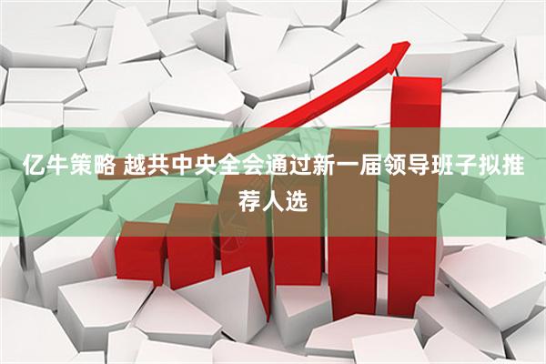 亿牛策略 越共中央全会通过新一届领导班子拟推荐人选