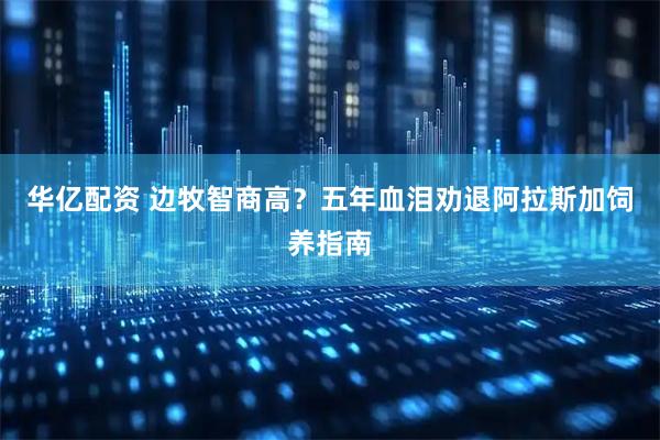 华亿配资 边牧智商高？五年血泪劝退阿拉斯加饲养指南